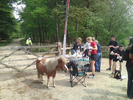 Pony Express - New Forest 2011