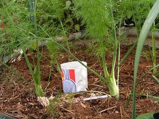 Garden Journal Notes: April 2011 Garden Journal Notes: April 2011