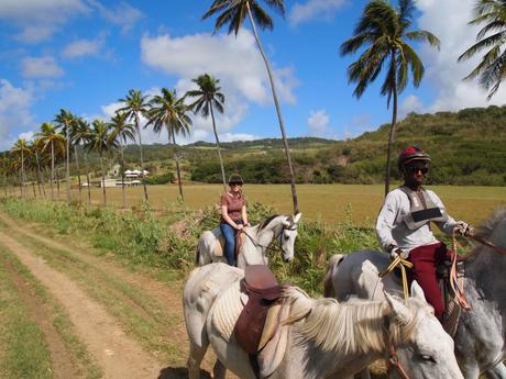 Horseriding in Barbados Guest review: The House, Barbados