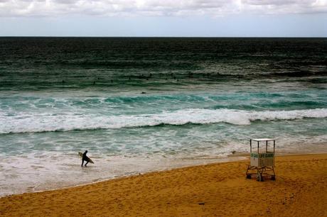 IMG_2725 travel bug: australia.