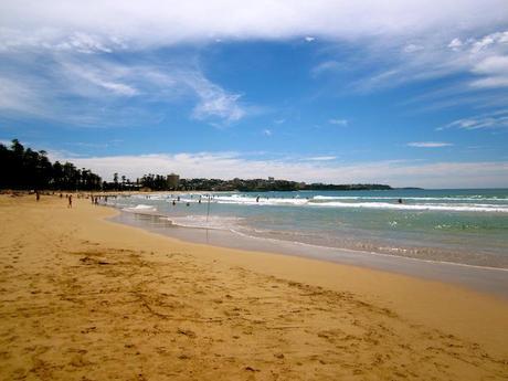 IMG_1936 travel bug: australia.