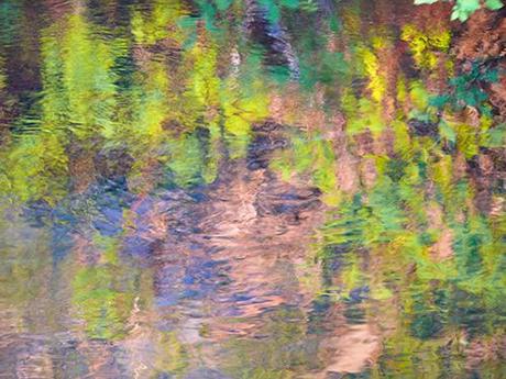 eagle falls reflection Practice Gratitudinal Healing