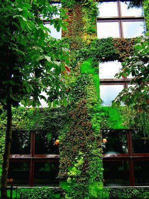 The Vertical Gardens of Patrick Blanc