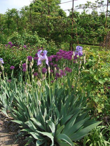 A Spring visit to West Dean Gardens, Sussex