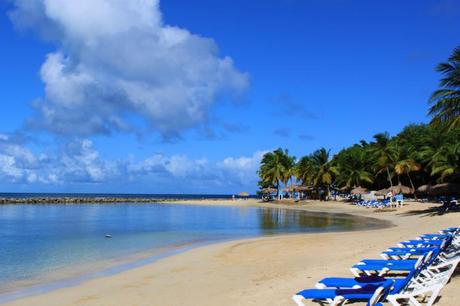 Can I Go Back travel bug: st. lucia.