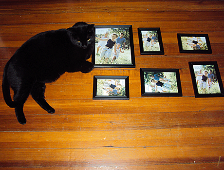 Wall decor: photos and math Wall decor: photos and math
