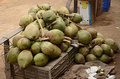 The Fruit-wallas of India The Fruit-wallas of India