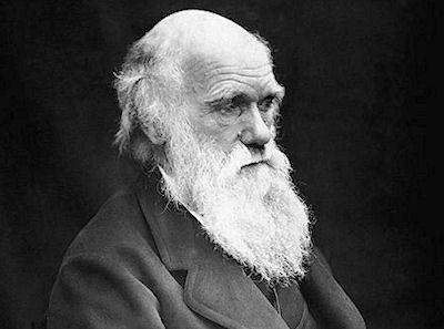 The Darwin Dynasty