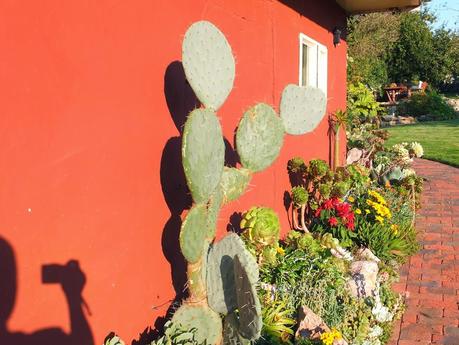 Exotic Plants and Exotic Fish Exotic Plants and Exotic Fish