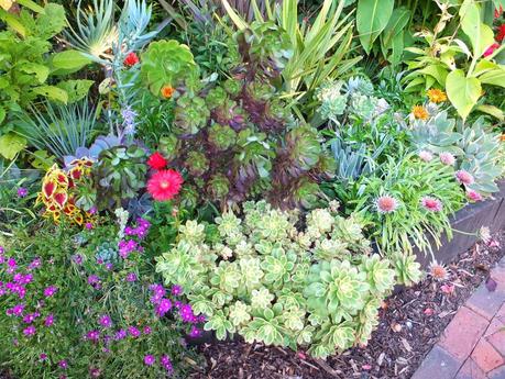 Exotic Plants and Exotic Fish Exotic Plants and Exotic Fish