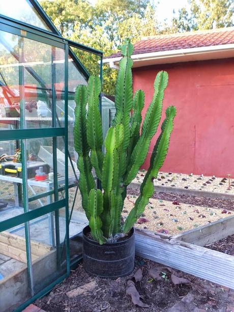 Exotic Plants and Exotic Fish Exotic Plants and Exotic Fish