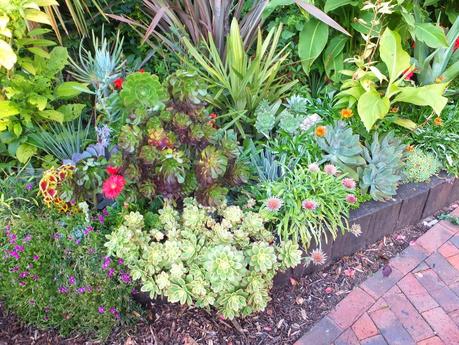 Exotic Plants and Exotic Fish Exotic Plants and Exotic Fish