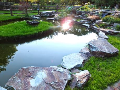 Exotic Plants and Exotic Fish Exotic Plants and Exotic Fish