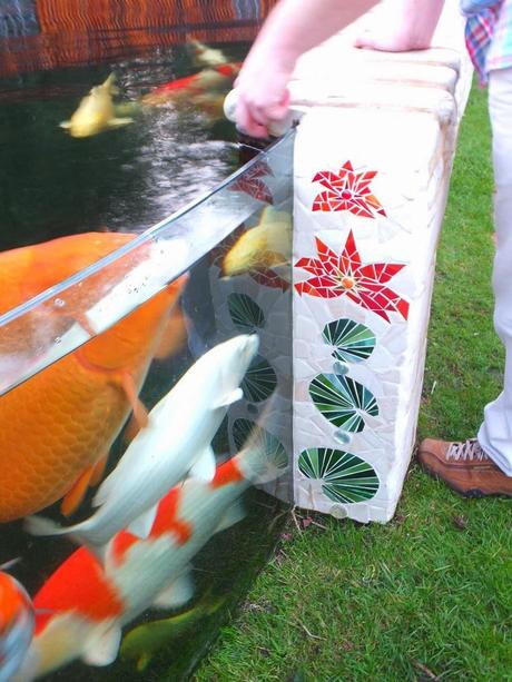 Exotic Plants and Exotic Fish Exotic Plants and Exotic Fish