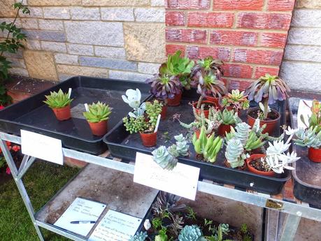 Exotic Plants and Exotic Fish Exotic Plants and Exotic Fish