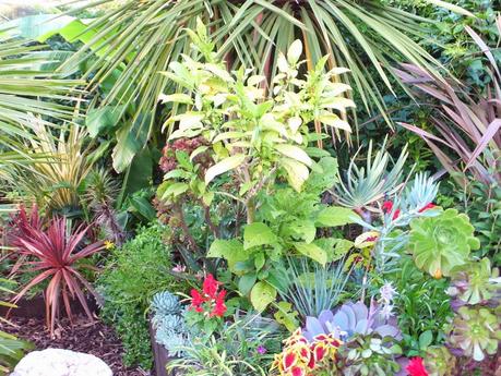 Exotic Plants and Exotic Fish Exotic Plants and Exotic Fish