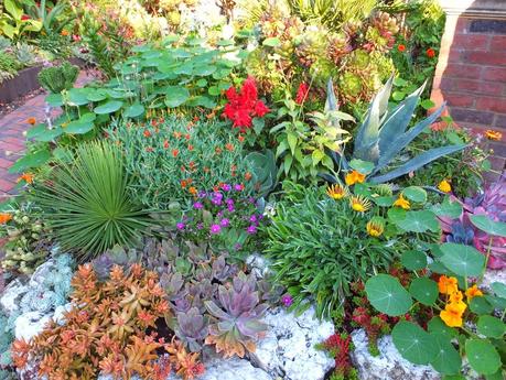 Exotic Plants and Exotic Fish Exotic Plants and Exotic Fish