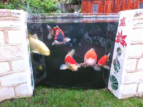 Exotic Plants and Exotic Fish Exotic Plants and Exotic Fish