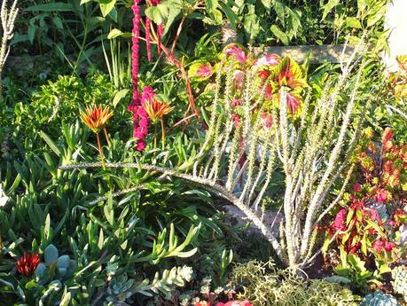Exotic Plants and Exotic Fish Exotic Plants and Exotic Fish