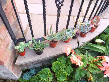 Exotic Plants and Exotic Fish Exotic Plants and Exotic Fish