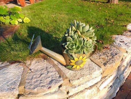 Exotic Plants and Exotic Fish Exotic Plants and Exotic Fish