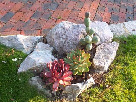 Exotic Plants and Exotic Fish Exotic Plants and Exotic Fish
