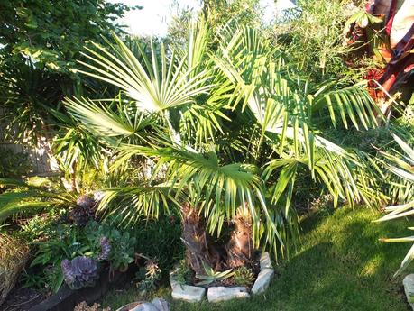 Exotic Plants and Exotic Fish Exotic Plants and Exotic Fish