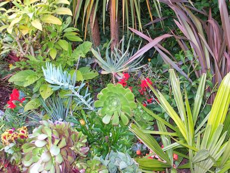 Exotic Plants and Exotic Fish Exotic Plants and Exotic Fish