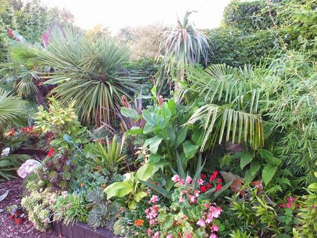 Exotic Plants and Exotic Fish Exotic Plants and Exotic Fish