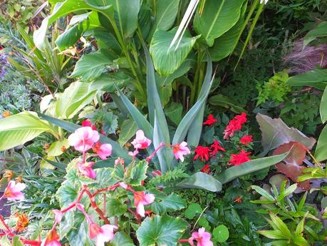 Exotic Plants and Exotic Fish Exotic Plants and Exotic Fish