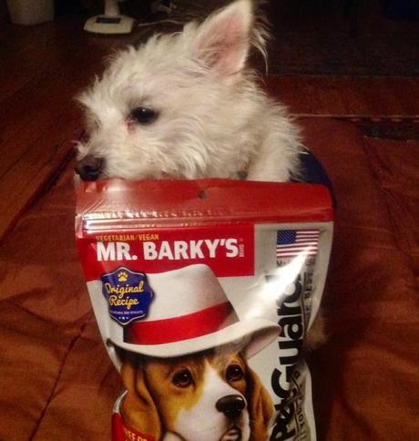 VeganMoFo #13: Vegan Products I Love – PetGuard’s Dog Biscuits 0160efd55d02a638c052f7a8d0081672ecf5055d11_00003