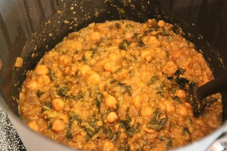 Spicy Lentil and Swiss Chard Soup IMG_0583