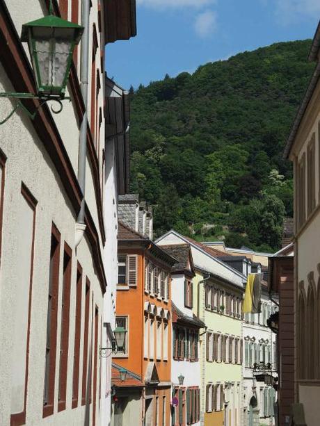 P5040577 夢見る中世都市，ハイデルベルグPart1 / Heidelberg, a dreamy town, Part1