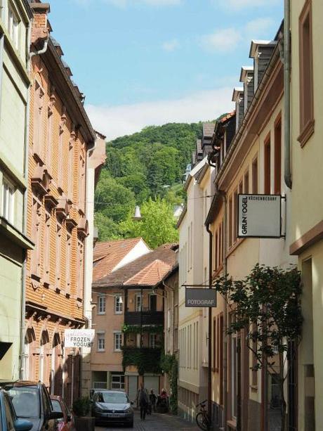 P5040522 夢見る中世都市，ハイデルベルグPart1 / Heidelberg, a dreamy town, Part1