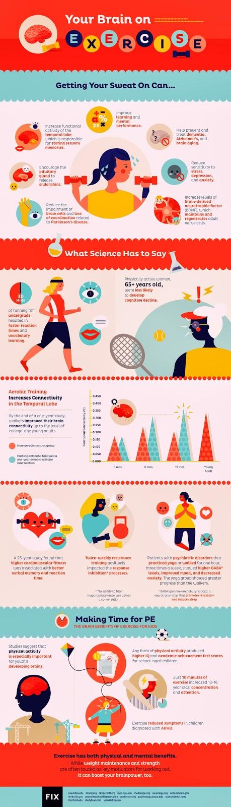 What Happens to Our Brain When We Exercise? What Happens to Our Brain When We Exercise?