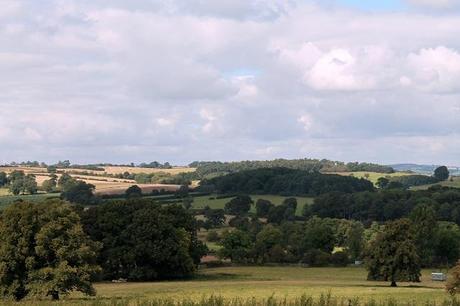 Summer Moments and Simple Pleasures Update Summer Moments and Simple Pleasures Update