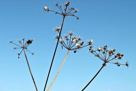 Summer Moments and Simple Pleasures Update Summer Moments and Simple Pleasures Update