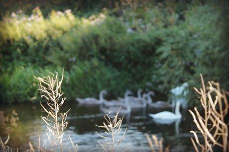 Watching the River Flow Watching the River Flow