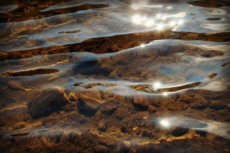 Watching the River Flow Watching the River Flow