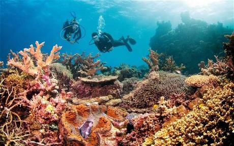 Coolest Natural Wonders Around the World Great Barrier Reef Marine Park Australia