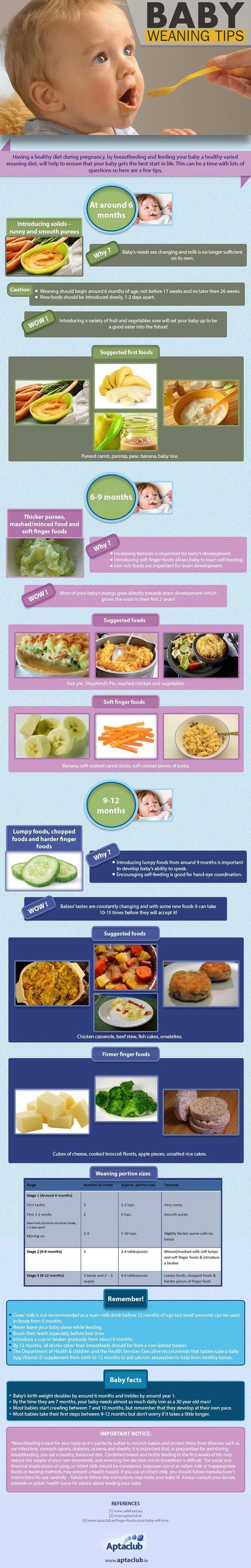 Aptaclub_BABY_FEEDING_TIPS_INFOGRAPHIC