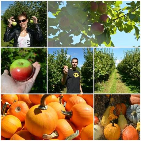 That Time I Climbed a Mountain + More Anniversary Love Apple Picking 1 via Fitful Focus