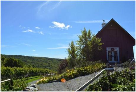 That Time I Climbed a Mountain + More Anniversary Love Walpole Winery 1 via Fitful Focus