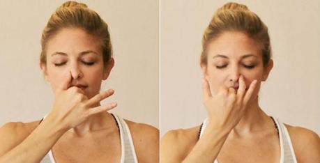 Anulom Vilom Pranayama Anulom Vilom Pranayama