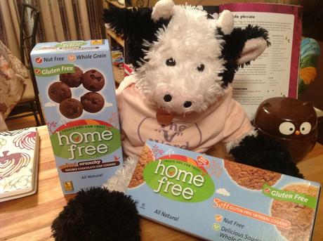 VeganMoFo #16: Vegan Products I Love – Cookies! Home Free (4)