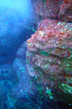 Under the different seas of Eolie islands, Sicily OLYMPUS DIGITAL CAMERA