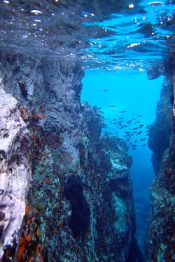 Under the different seas of Eolie islands, Sicily OLYMPUS DIGITAL CAMERA