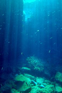 Under the different seas of Eolie islands, Sicily OLYMPUS DIGITAL CAMERA