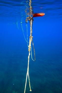 Under the different seas of Eolie islands, Sicily OLYMPUS DIGITAL CAMERA