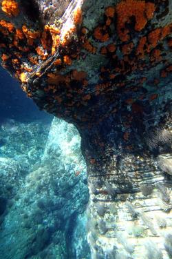 Under the different seas of Eolie islands, Sicily OLYMPUS DIGITAL CAMERA